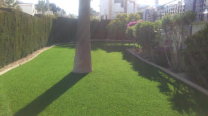 Garden - Artificial Grass
